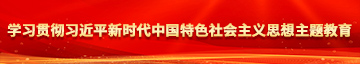 久插嗯日爽久久久久学习贯彻习近平新时代中国特色社会主义思想主题教育