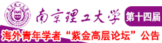 男娘白浆南京理工大学第十四届海外青年学者紫金论坛诚邀海内外英才！